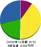 桜井工務店 貸借対照表 2009年12月期
