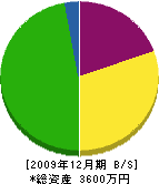 恵中建材 貸借対照表 2009年12月期