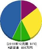 塚原家具建具製作所 貸借対照表 2010年12月期