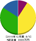 松江建設 貸借対照表 2010年12月期