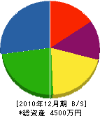 中村土木興業 貸借対照表 2010年12月期