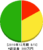 竹村土木 貸借対照表 2010年12月期