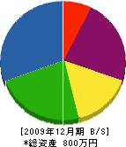 高嶋造園 貸借対照表 2009年12月期