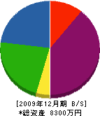 下斗米建設 貸借対照表 2009年12月期