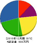 松建 貸借対照表 2010年12月期