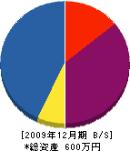 早川電気設備 貸借対照表 2009年12月期