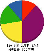 野中電気 貸借対照表 2010年12月期