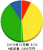 田附配管 貸借対照表 2010年12月期