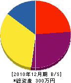 藤原電波 貸借対照表 2010年12月期