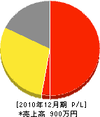 森村水道工業所 損益計算書 2010年12月期