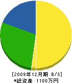 上田電気商会 貸借対照表 2009年12月期