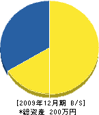 井戸建設 貸借対照表 2009年12月期 井戸建設 貸借対照表 2009年12月期