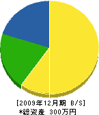 本田組 貸借対照表 2009年12月期