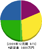 山崎ポンプ店 貸借対照表 2009年12月期