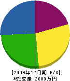 柴田建設 貸借対照表 2009年12月期