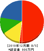 近江緑化 貸借対照表 2010年12月期