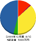 杉田工務店 貸借対照表 2009年12月期