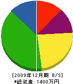 尾崎電気店 貸借対照表 2009年12月期