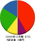 佐藤建材 貸借対照表 2009年12月期