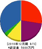 松本建設 貸借対照表 2010年12月期