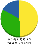 日本地下防水工業 貸借対照表 2009年12月期