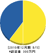 小川電機設備 貸借対照表 2010年12月期