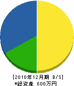 幸田電気工事商会 貸借対照表 2010年12月期