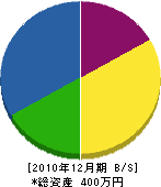 太田造園 貸借対照表 2010年12月期