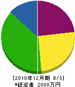 叶建設 貸借対照表 2010年12月期 叶建設 貸借対照表 2010年12月期