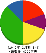 土坂電気 貸借対照表 2010年12月期