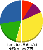 岩村畳店 貸借対照表 2010年12月期
