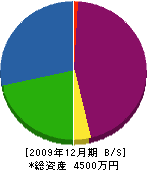 平川鐵工所 貸借対照表 2009年12月期