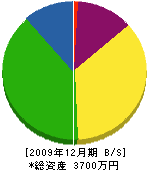 甲伸電気商会 貸借対照表 2009年12月期