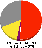 栄和建設 損益計算書 2009年12月期