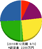 浅野緑化 貸借対照表 2010年12月期 浅野緑化 貸借対照表 2010年12月期