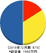 碓井緑営 貸借対照表 2010年12月期