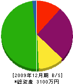 柴田電工 貸借対照表 2009年12月期