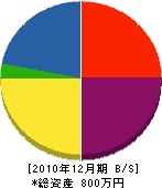 石垣水道 貸借対照表 2010年12月期