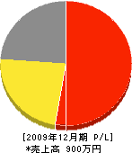 平田建具店 損益計算書 2009年12月期