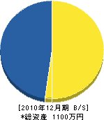 植田電気商会 貸借対照表 2010年12月期