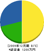 木村殖産園 貸借対照表 2009年12月期