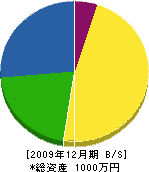 大川工業 貸借対照表 2009年12月期