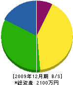 丸玉鉄工・水道 貸借対照表 2009年12月期