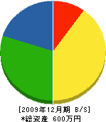 池田塗装 貸借対照表 2009年12月期