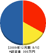 窪澤土建 貸借対照表 2009年12月期