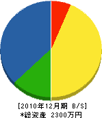 大藤水道工業所 貸借対照表 2010年12月期