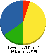 大島電気商会 貸借対照表 2009年12月期