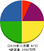 片山土木工業 貸借対照表 2010年12月期