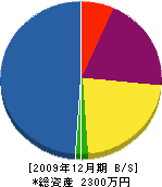 前川建設 貸借対照表 2009年12月期