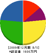 田島建築 貸借対照表 2009年12月期